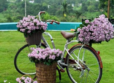 Hoa tươi ngày lễ